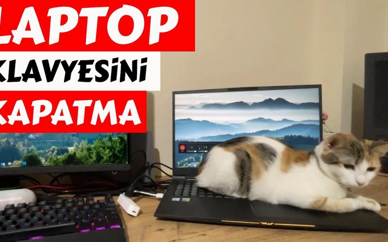 Laptop Klavyesi Devre Dışı Bırakma Nasıl Yapılır?